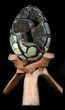 Septarian Dragon Egg Geode - Black Crystals #36089-1